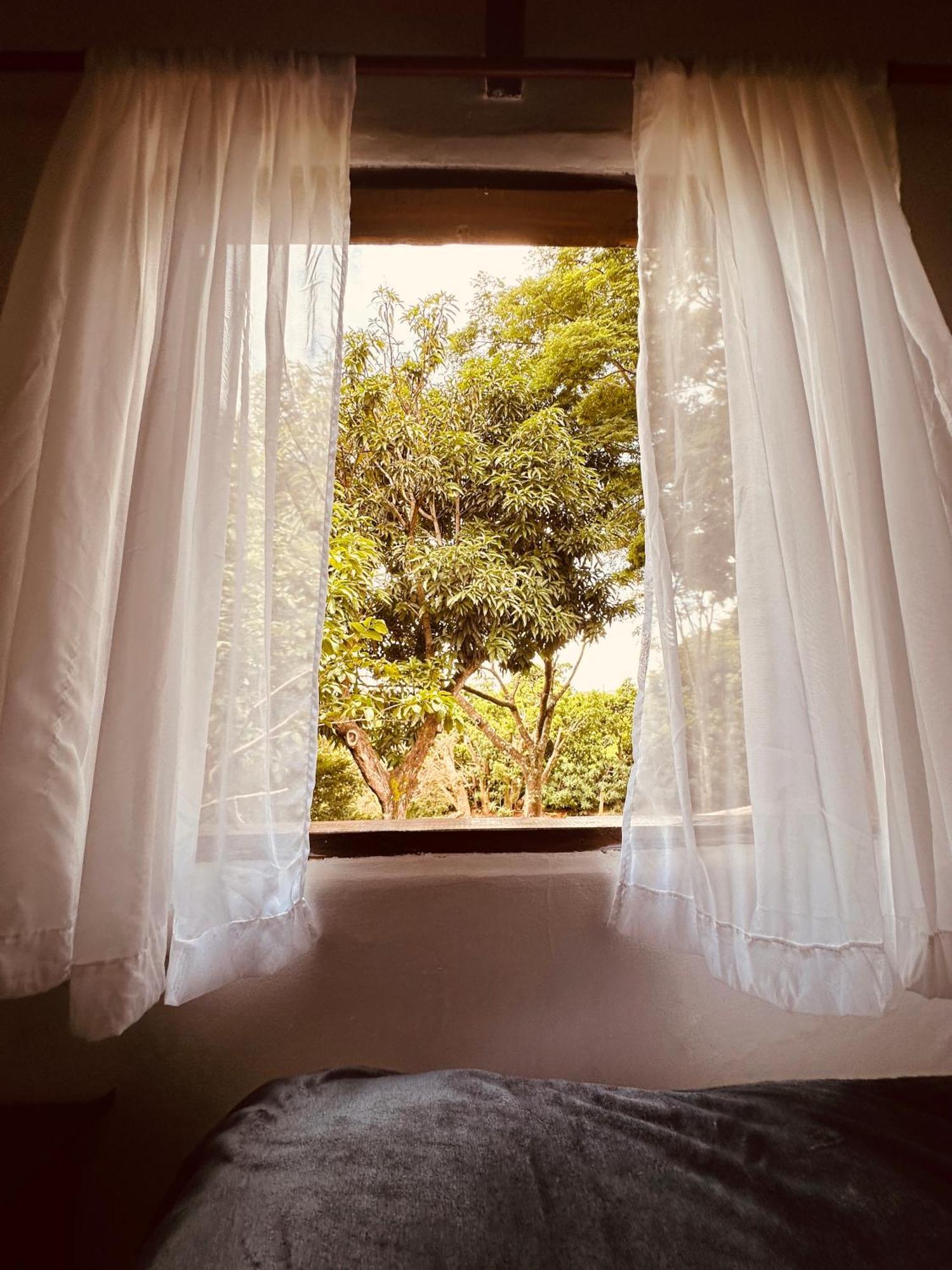 Chale Amarelo Holiday home